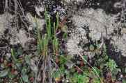 062 110519 Inca Trail 3
