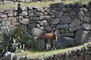 073 110520 Inca Trail 4